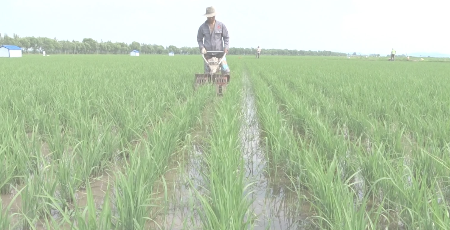 點(diǎn)擊打開視頻